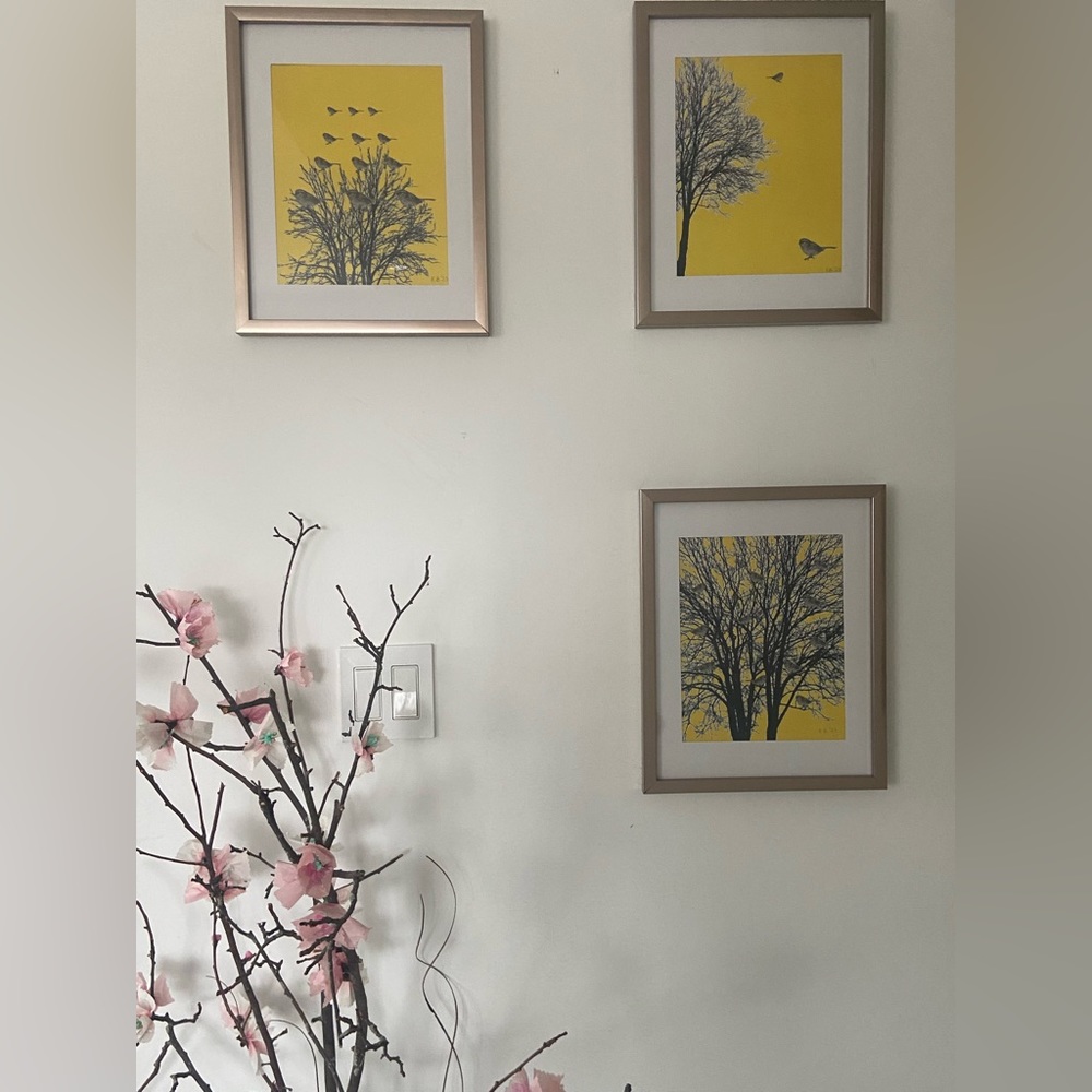 Set of three prints Canadian Sparrow IV V and VI